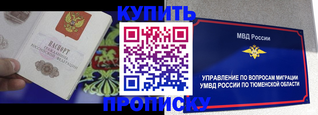 прописка 2025 в Камышине